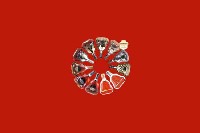 石林回收红酒